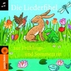 Die Liederfibel zur Frühlings- und Sommerzeit ( Jürgen Treyz )